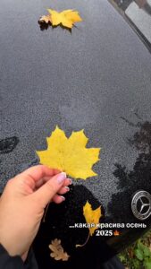 566209633 24662353480082759 3263067338304617792 n